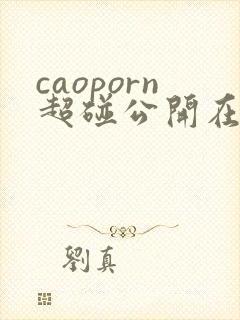 caoporn超碰公开在线