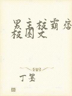 男主校霸痞帅的校园文