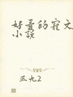 好看的宠文甜文小说