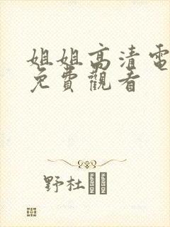 姐姐高清电视剧免费观看