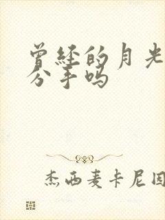 曾经的月光暗示分手吗
