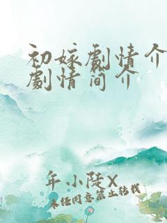 初嫁剧情介绍|剧情简介