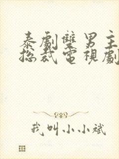 泰剧双男主霸道总裁电视剧