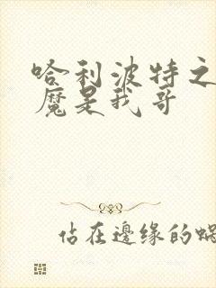 哈利波特之伏地魔是我哥