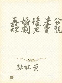再婚后老公和我短剧免费观看