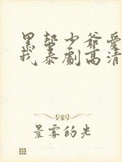 黑帮少爷爱上了我泰剧高清完整版