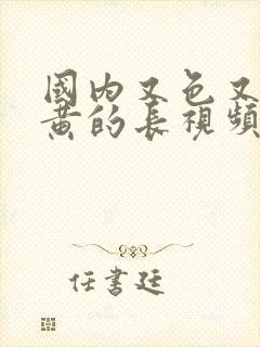 国内又色又爽又黄的长视频