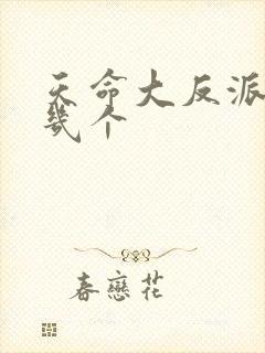 天命大反派女主几个