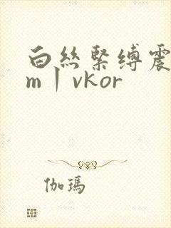 白丝紧缚震动sm丨vkor