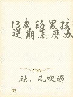 13岁的男孩叛逆期怎么办