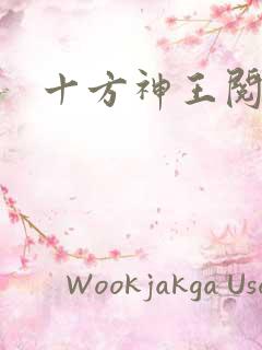 十方神王阅读