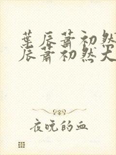 叶辰萧初然 叶辰萧初然大结局看完