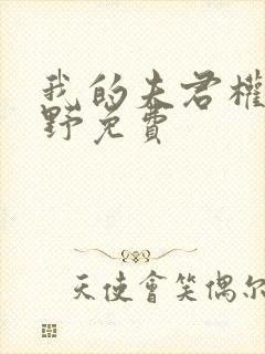 我的夫君权倾朝野免费