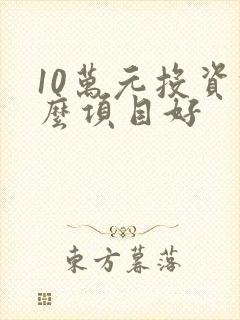 10万元投资什么项目好