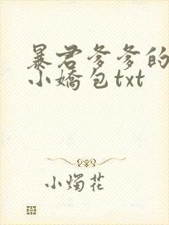 暴君爹爹的团宠小娇包txt