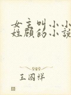女主叫小小男主姓顾的小说