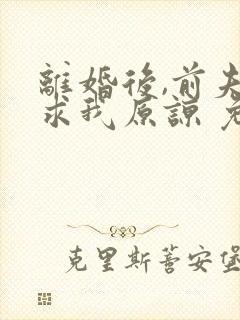 离婚后,前夫跪求我原谅 免费阅读