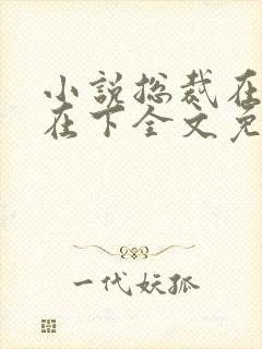 小说总裁在上我在下全文免费阅读
