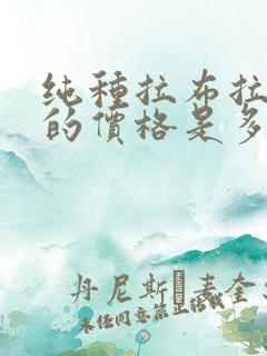 纯种拉布拉多犬的价格是多少
