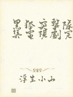 黑狐突击队43集电视剧完整版