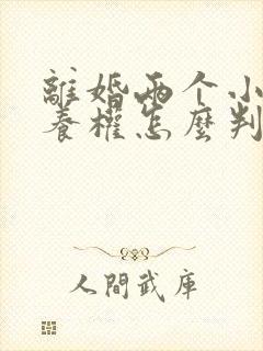 离婚两个小孩抚养权怎么判定