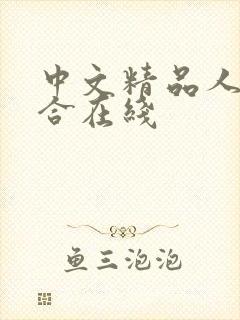 中文精品人妻综合在线