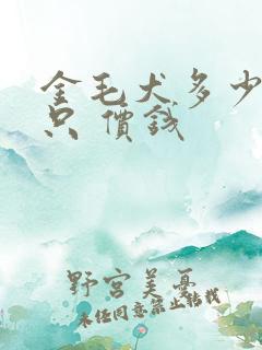 金毛犬多少钱一只 价钱