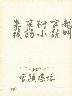 朱宁衍穿越成崇祯的小说叫什么