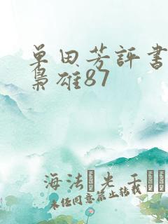 单田芳评书乱世枭雄87