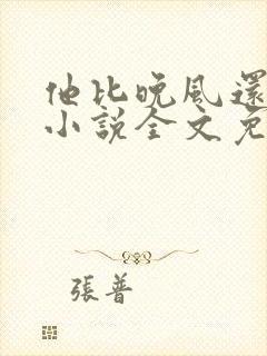 他比晚风还温柔小说全文免费阅读