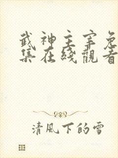 武神主宰免费全集在线观看