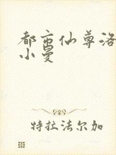 都市仙尊洛尘张小曼