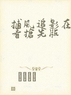 捕风追影在线观看抢先版