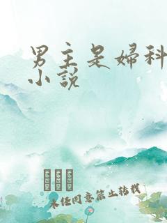 男主是妇科医生小说