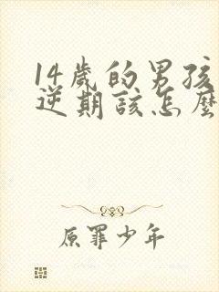 14岁的男孩叛逆期该怎么教