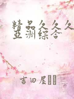 精品久久久久久亚洲综合