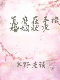 怎么在手机上查婚姻状况