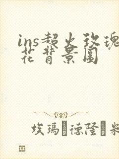 ins超火玫瑰花背景图