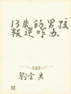 13岁的男孩子叛逆咋办