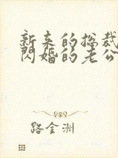 新来的总裁竟是闪婚的老公小说