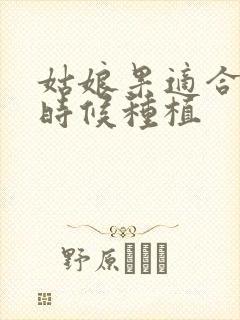 姑娘果适合什么时候种植