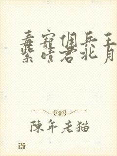 毒宠佣兵王妃寒紫晴君北月小说简介