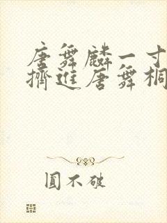 唐舞麟一寸一寸挤进唐舞桐