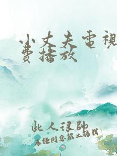小丈夫电视剧免费播放