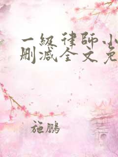 一级律师小说未删减全文免费阅读