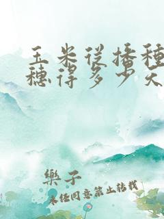 玉米从播种到抽穗得多少天