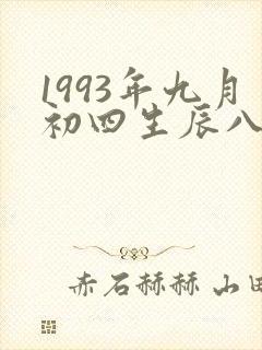 1993年九月初四生辰八字