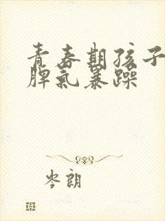 青春期孩子叛逆脾气暴躁