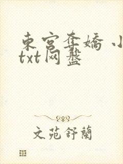 东宫夺娇 小说txt网盘