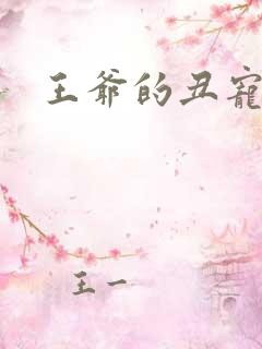 王爷的丑宠